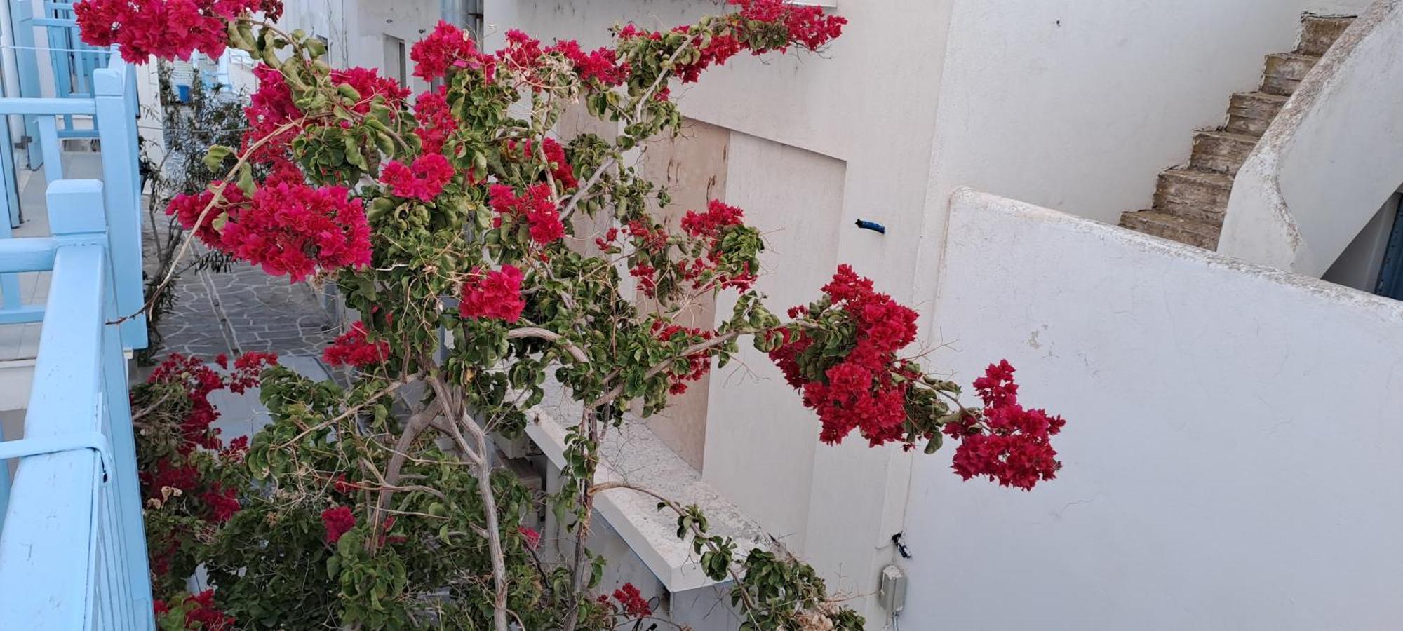 Dinas Inn Piso Livadi Exterior foto